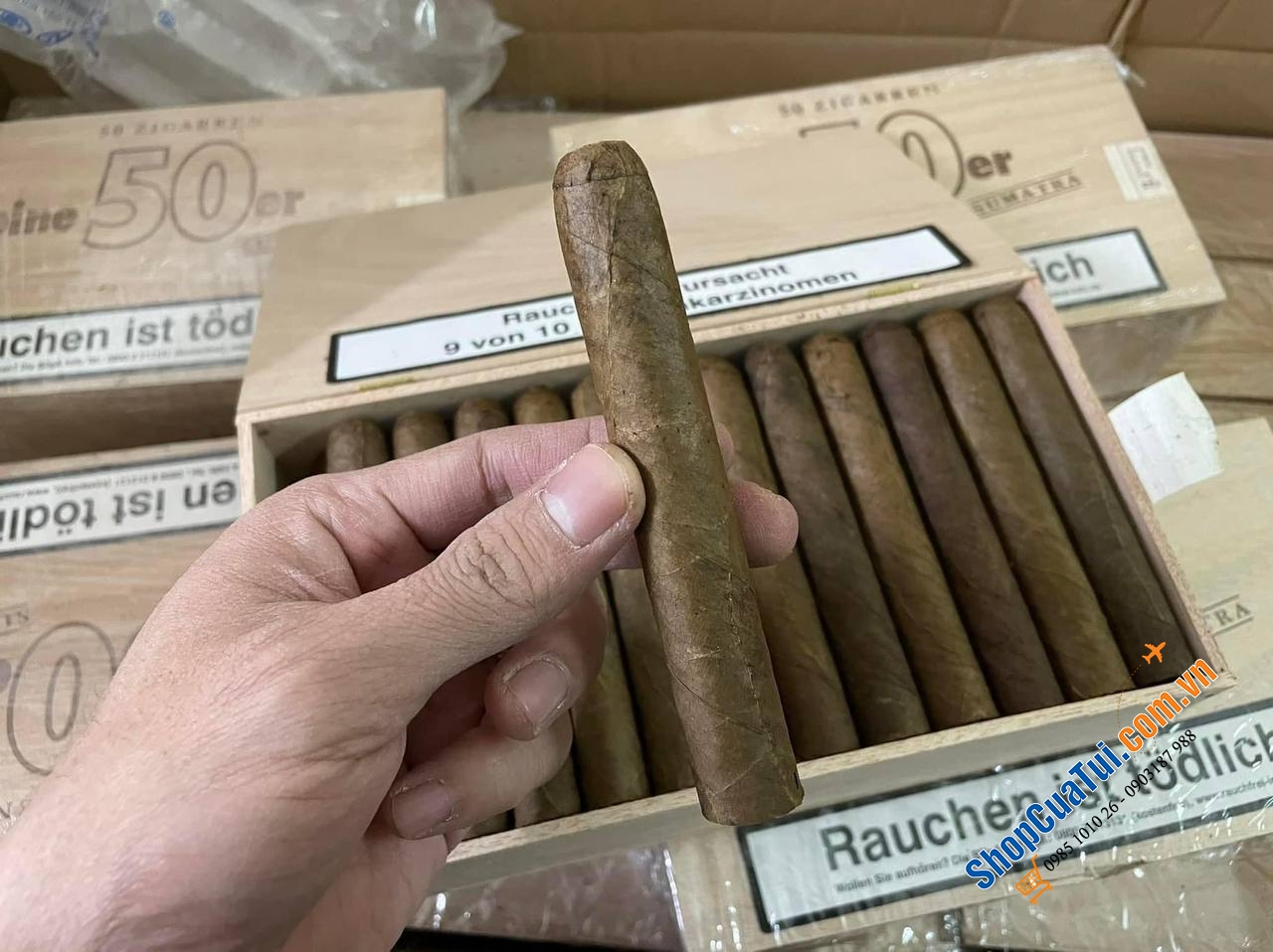 Xì gà Meine 50er Sumatra - Hộp Cigar 50 điếu