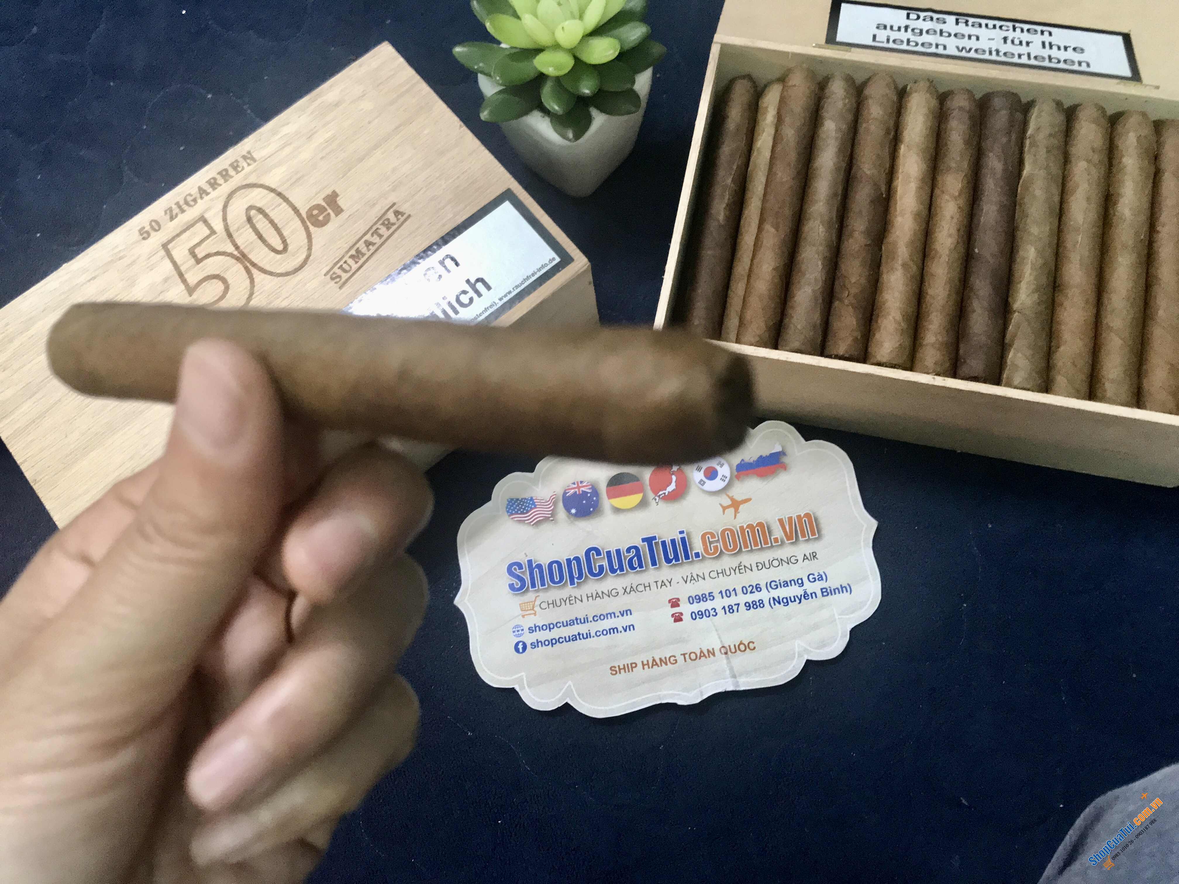 Xì gà Meine 50er Sumatra - Hộp Cigar 50 điếu