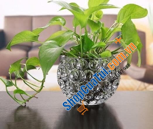 Lọ hoa pha Lê tròn Egermann (Lọ hoa quả cầu) - Made in EU (Séc) - 17cm