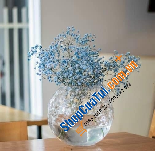 Lọ hoa pha Lê tròn Egermann (Lọ hoa quả cầu) - Made in EU (Séc) - 17cm