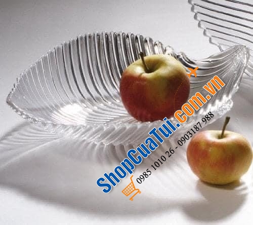 ĐĨA PHA LÊ ĐỨC NACHTMAN MAMBO SCHALE 25cm - ĐĨA LÁ NACHTMANN