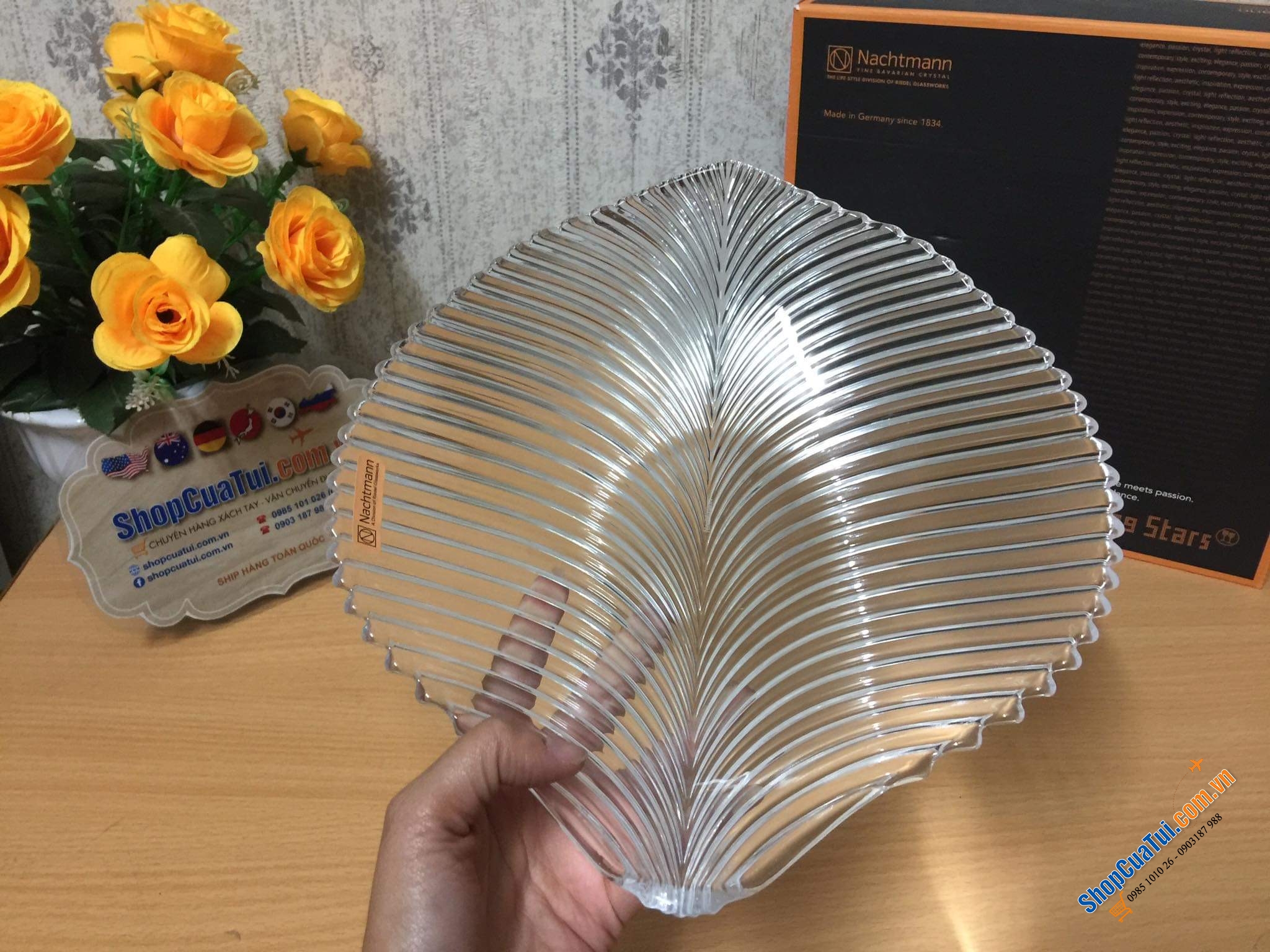 ĐĨA PHA LÊ ĐỨC NACHTMAN MAMBO SCHALE 25cm - ĐĨA LÁ NACHTMANN