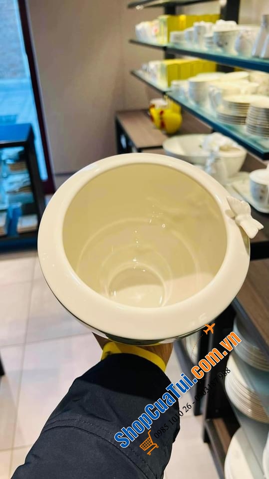 LỌ HOA CAO CẤP VILLEROY BOCH COLOURFUL SPRING - MADE IN GERMANY - CỠ NHỠ