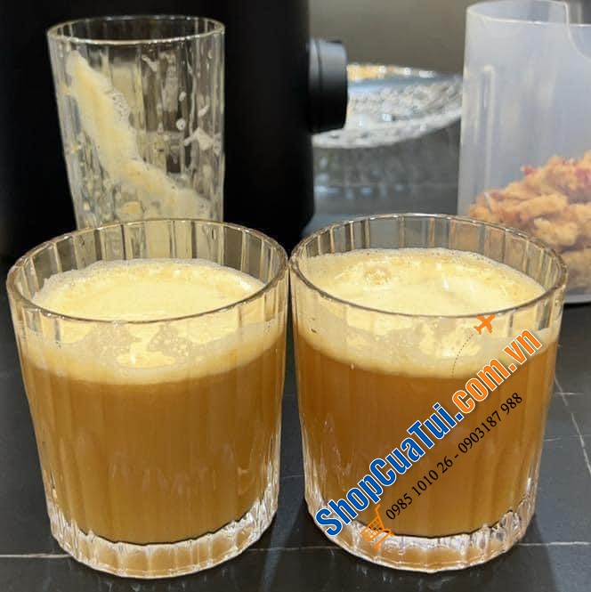 Máy Ép chậm nội địa Hàn Quốc - Phileo PH-266 - Bản sao của Hurom nổi tiếng với mức giá chưa tới 1/3 so với Hurom - ép được nguyên quả