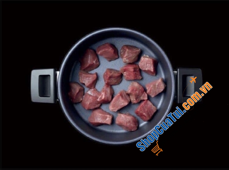 Nồi Áp Suất Woll 120-1DALI Size 20cm 3L, MADE IN GERMANY - truyền nhiệt nhanh, phù hợp với nhiều loại bếp: Bếp từ, bếp hồng ngoại, bếp Halogen, bếp gas, lò nướng,...