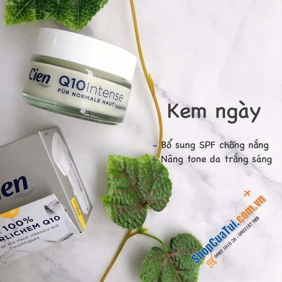 CẶP KEM DƯỠNG CHỐNG LÃO HÓA NGÀY ĐÊM CIEN Q10 INTENSE ANTI-FALTEN - MẪU MỚI LÊN KỆ TẠI SIÊU THỊ ĐỨC