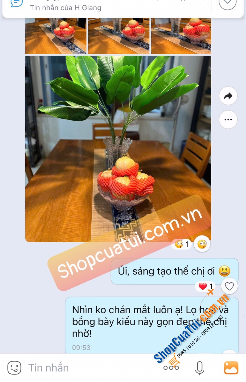 Combo pha lê mài M57 Bohemia gồm 1 lọ hoa cao 25,5cm và 1 mâm bồng dk 25,5 cm sang trọng, thanh thoát được thiết kế theo phong cách Châu Âu - Lọ hoa pha lê Bohemia cao 25,5cm.