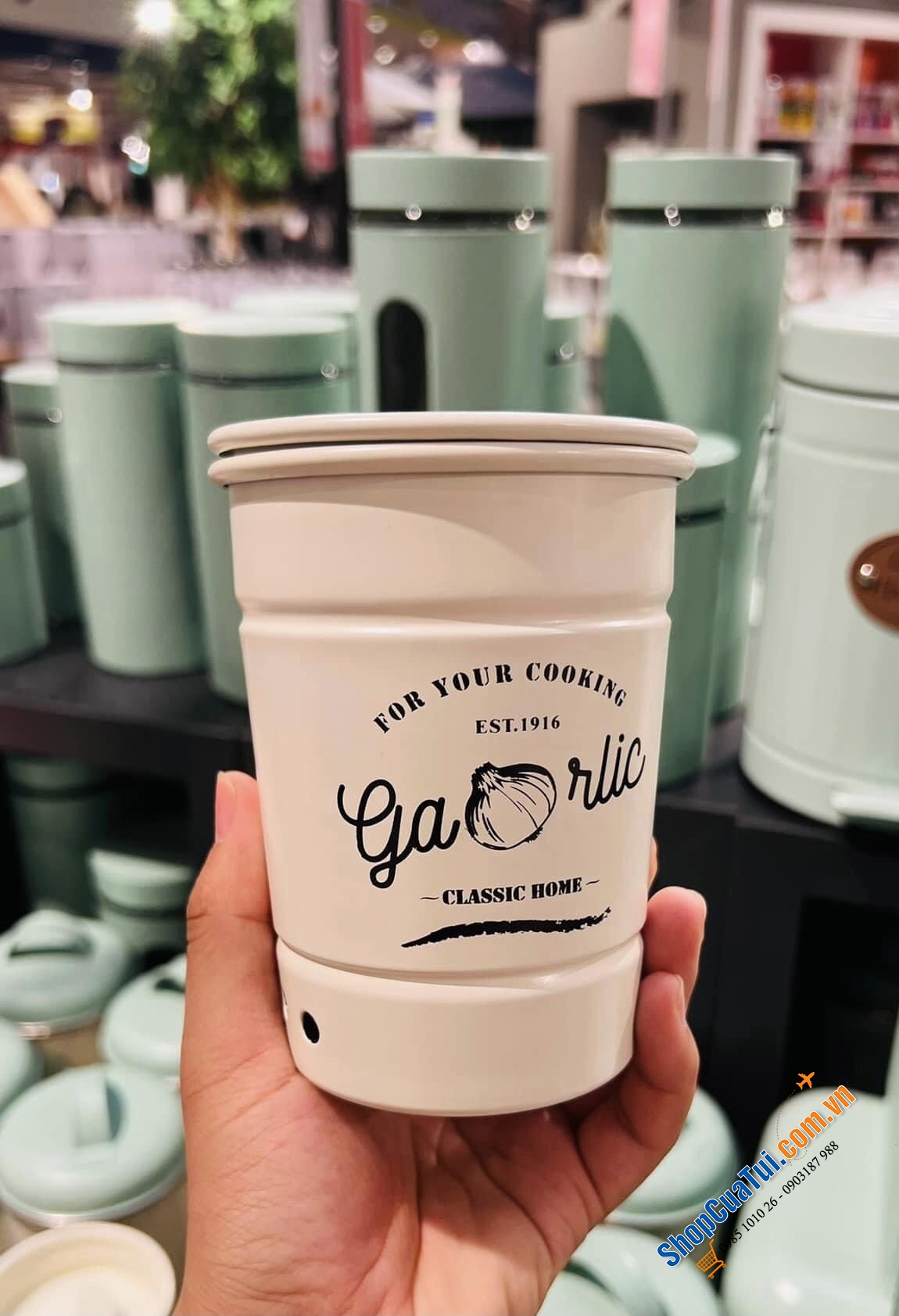 HŨ ĐỰNG TỎI NHỎ XINH FOR FRIENDS.