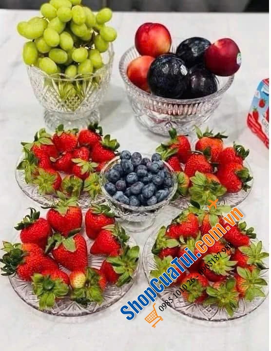 Hũ kẹo Dublin Atiso màu đỏ, màu trắng - chiếc thố pha lê 15cm có nắp Dublin đựng hoa quả, bánh kẹo, soup, yến chưng ...