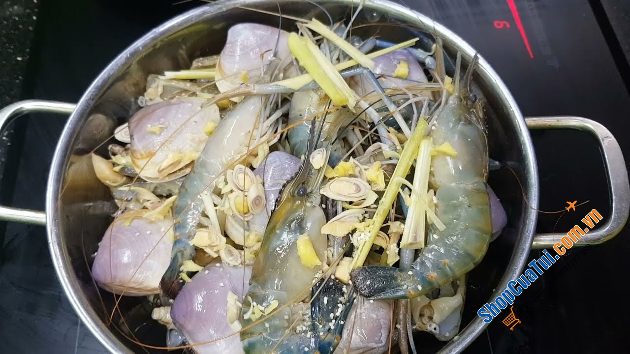 XỬNG HẤP ZWILLING SIÊU DÀY CÓ QUAI DÒNG MOMENT 24 CM đồ xôi, hấp hải sản...