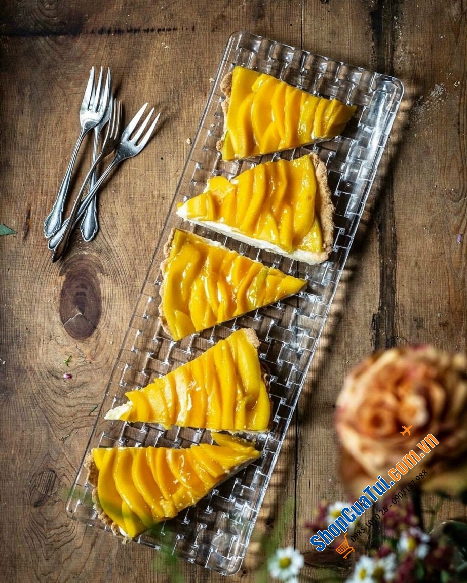 ĐĨA DÀI NACHTMANN BOSSA Nova 81412 NOVA  PLATTE RECHTECKIG 42 x 15 CM - MADE IN GERMANY