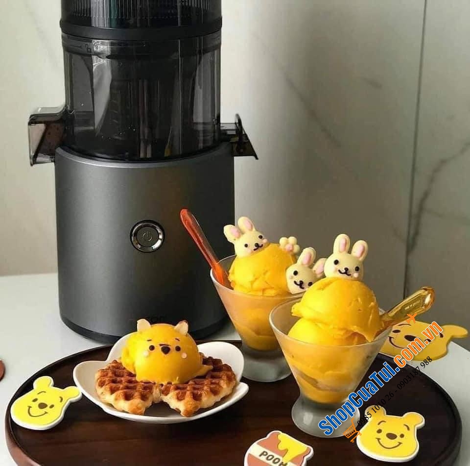 Máy ÉP CHẬM HUROM H300E (hay H300).