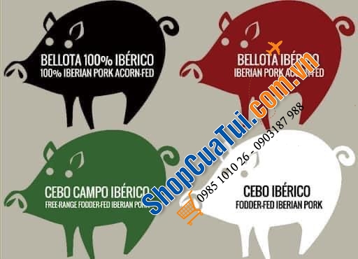 CÁCH PHÂN BIỆT JAMON VÀ CÁCH CHỌN ĐÙI HEO MUỐI IBERICO ĐÚNG CHUẨN ĐẠO LUẬT HOÀNG GIA TÂY BAN NHA