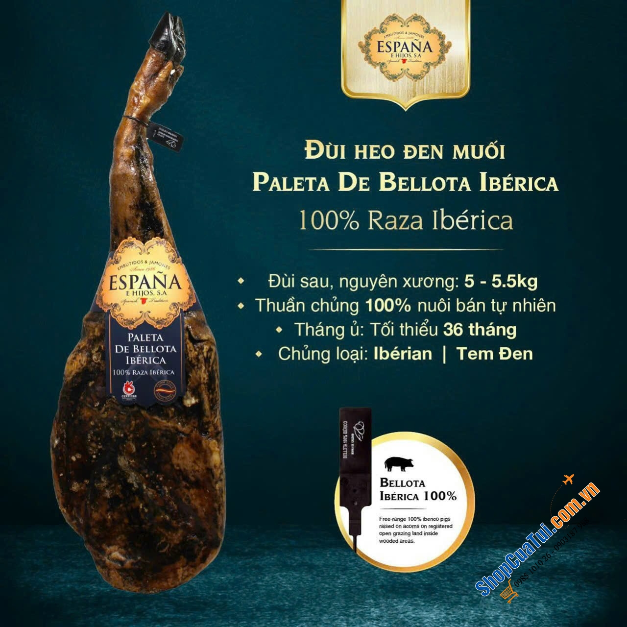 CÁCH PHÂN BIỆT JAMON VÀ CÁCH CHỌN ĐÙI HEO MUỐI IBERICO ĐÚNG CHUẨN ĐẠO LUẬT HOÀNG GIA TÂY BAN NHA