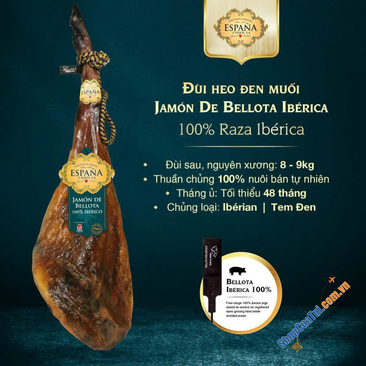 CÁCH PHÂN BIỆT JAMON VÀ CÁCH CHỌN ĐÙI HEO MUỐI IBERICO ĐÚNG CHUẨN ĐẠO LUẬT HOÀNG GIA TÂY BAN NHA