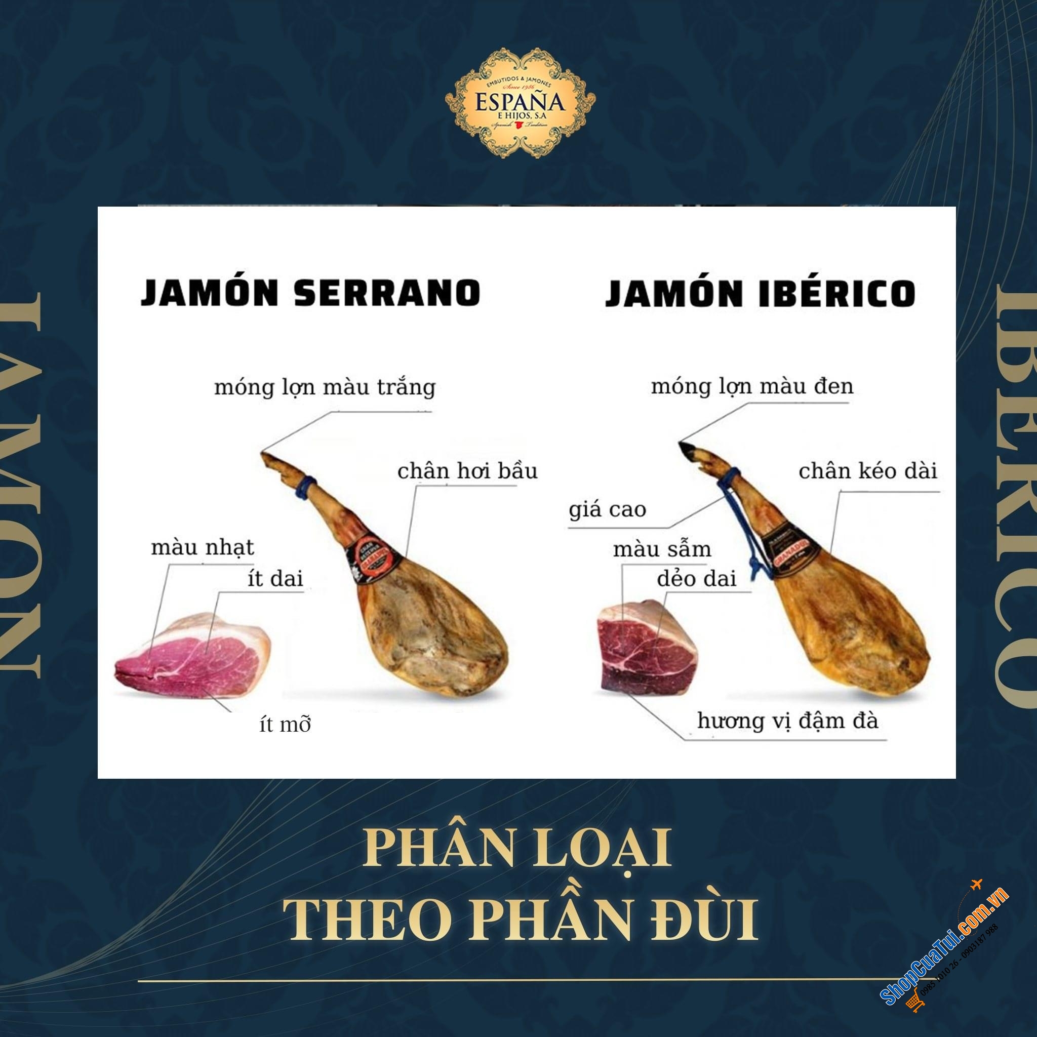 CÁCH PHÂN BIỆT JAMON VÀ CÁCH CHỌN ĐÙI HEO MUỐI IBERICO ĐÚNG CHUẨN ĐẠO LUẬT HOÀNG GIA TÂY BAN NHA