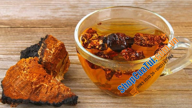 Nấm bạch dương Chaga của Nga 1kg - NẤM CHAGA TRỊ TIỂU ĐƯỜNG – CAO HUYẾT ÁP – NGỪA UNG THƯ – CHỐNG LÃO HÓA- TĂNG SỨC ĐỀ KHÁNG