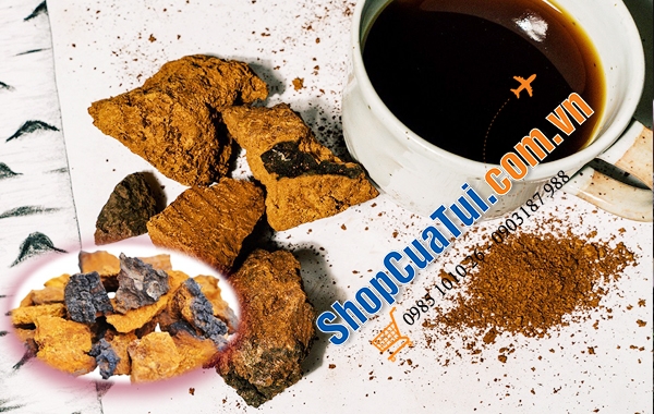 Nấm bạch dương Chaga của Nga 1kg - NẤM CHAGA TRỊ TIỂU ĐƯỜNG – CAO HUYẾT ÁP – NGỪA UNG THƯ – CHỐNG LÃO HÓA- TĂNG SỨC ĐỀ KHÁNG