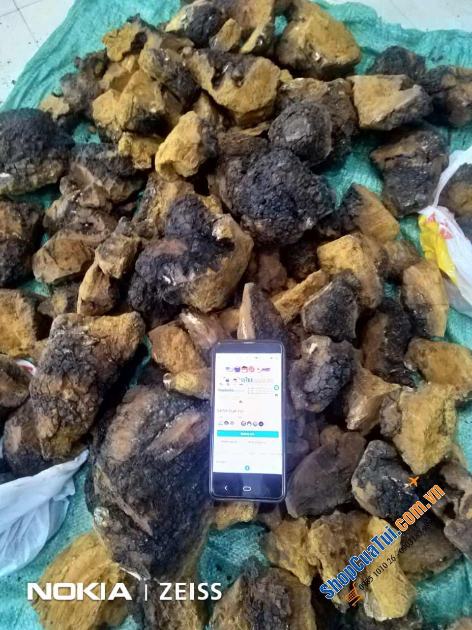 Nấm bạch dương Chaga của Nga 1kg - NẤM CHAGA TRỊ TIỂU ĐƯỜNG – CAO HUYẾT ÁP – NGỪA UNG THƯ – CHỐNG LÃO HÓA- TĂNG SỨC ĐỀ KHÁNG