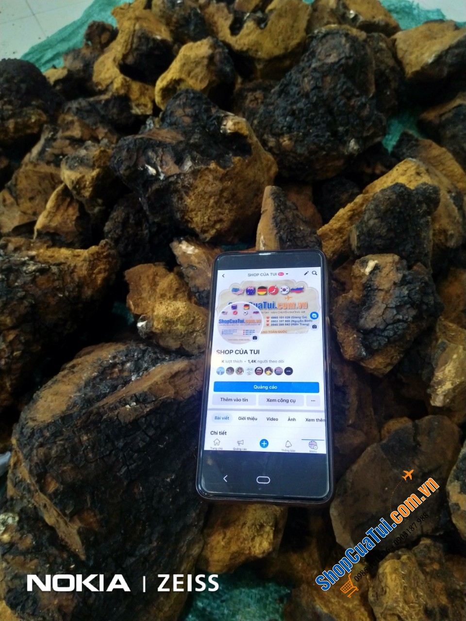 Nấm bạch dương Chaga của Nga 1kg - NẤM CHAGA TRỊ TIỂU ĐƯỜNG – CAO HUYẾT ÁP – NGỪA UNG THƯ – CHỐNG LÃO HÓA- TĂNG SỨC ĐỀ KHÁNG