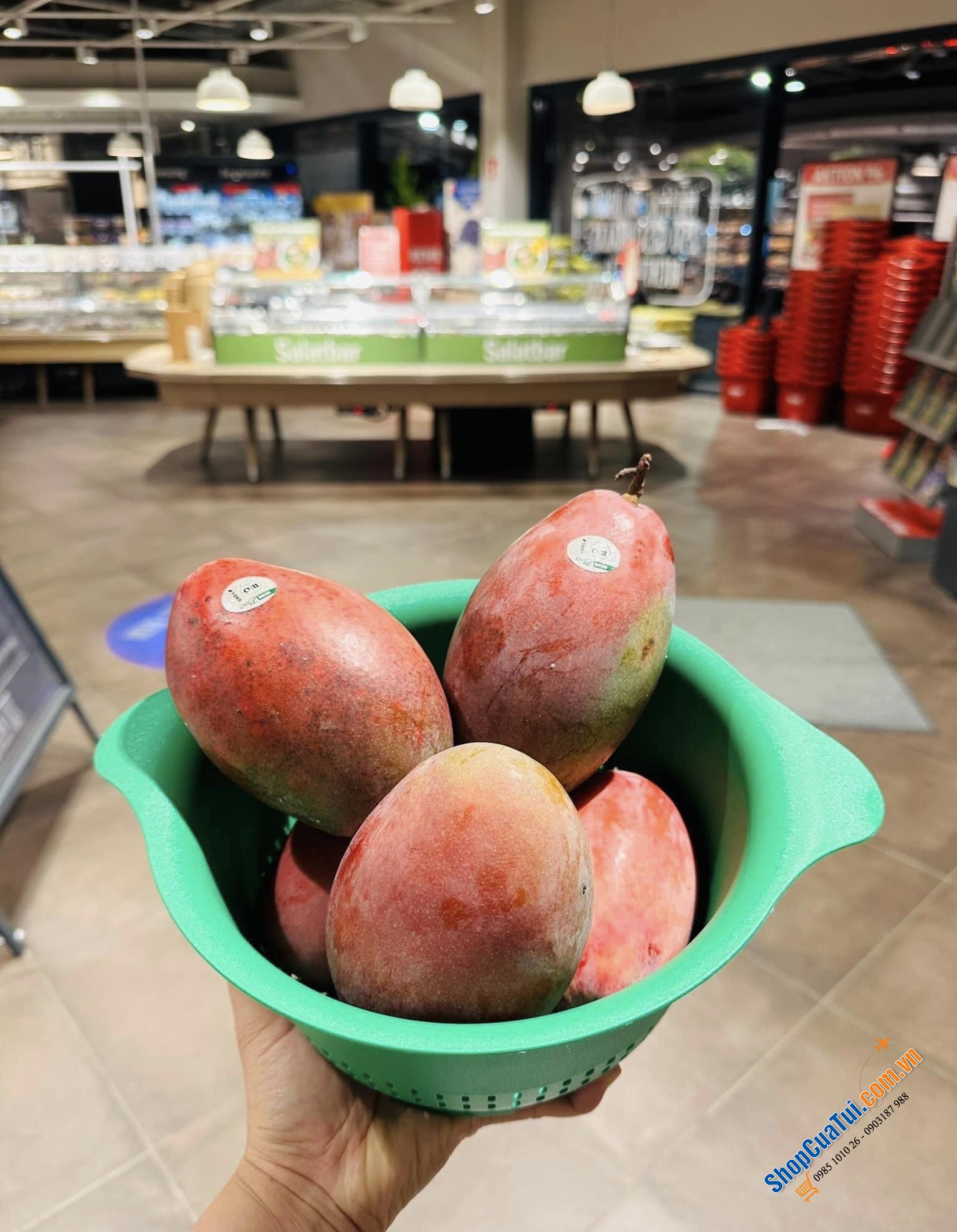 RỔ NHỰA IKEA XANH - MADE IN ITALY.