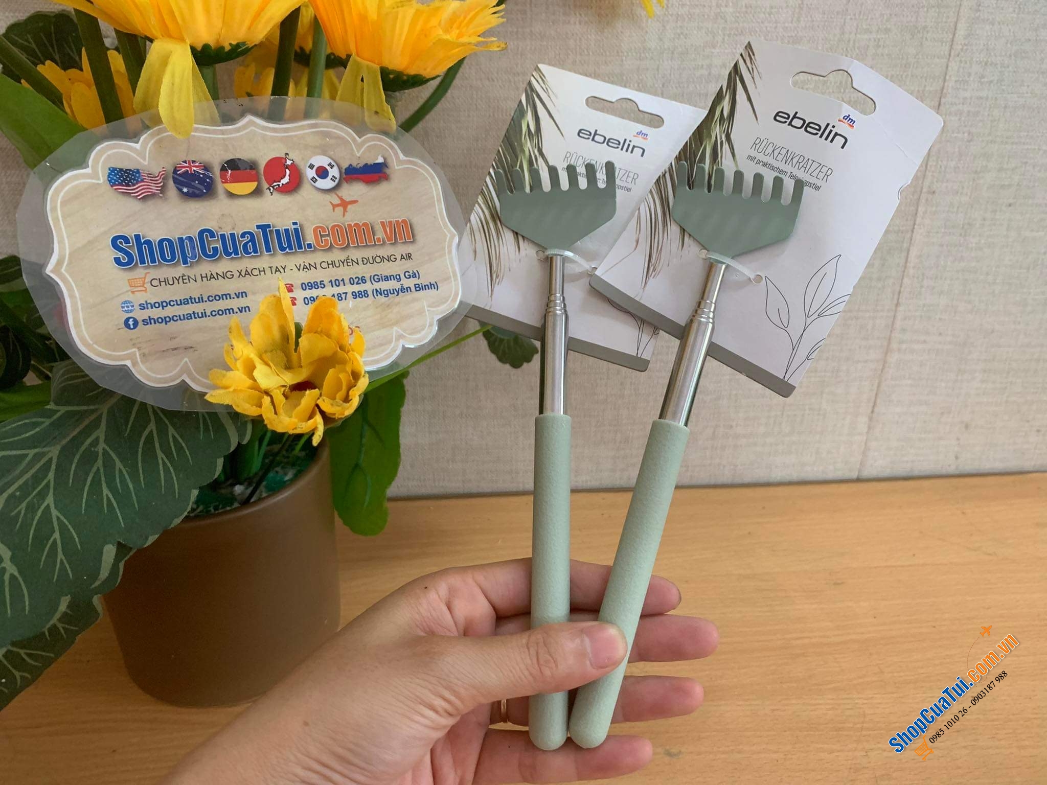 Cây gậy gãi lưng Ebelin