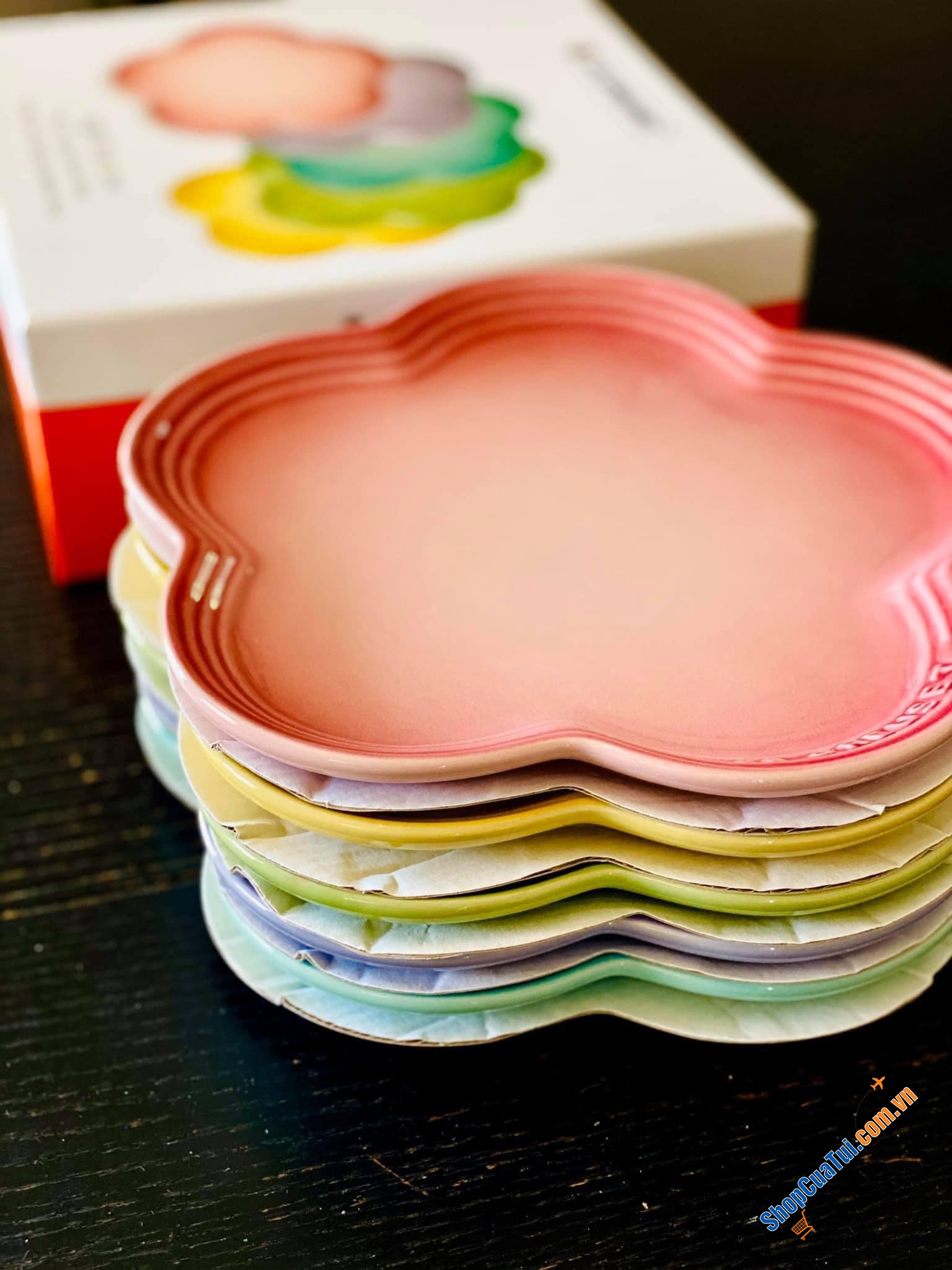 Set 5 đĩa hoa cầu vồng Le Creuset size 15cm