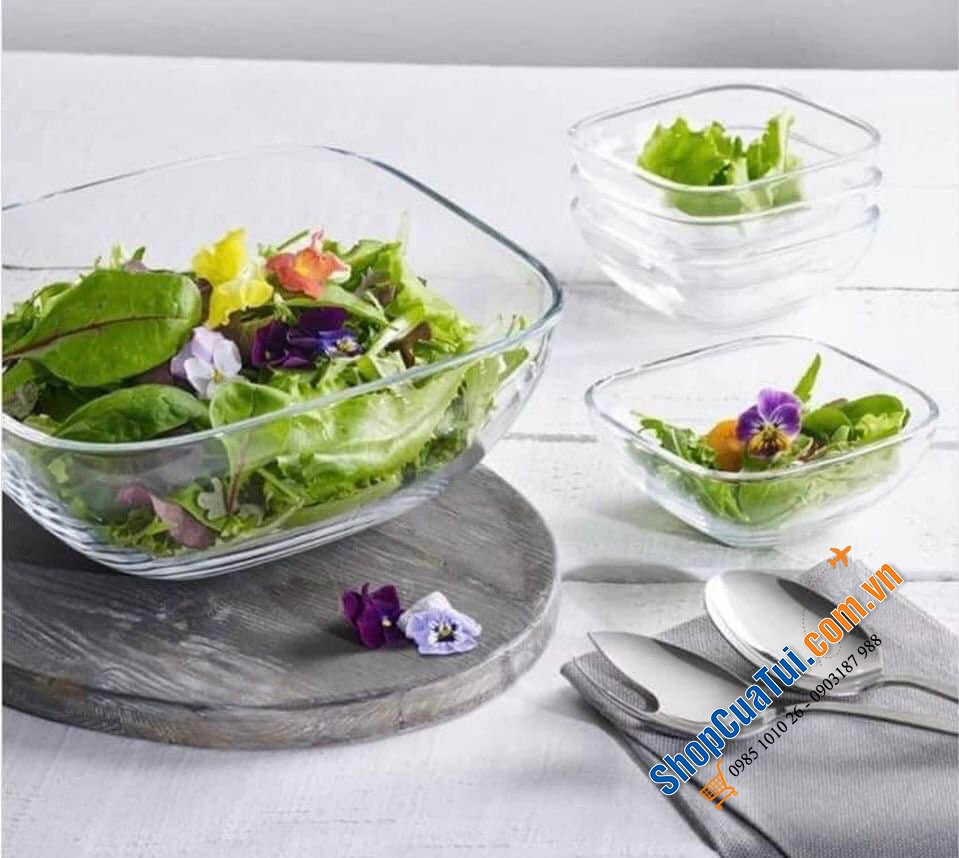 5 bát vuông trong suốt Nachtmann Domino Schalen 100630.