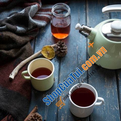 Ấm Đun Nước Riess Classic 2 lít đun bếp từ thuộc BỘ SƯU TẬP ẤM HUÝT SÁO RIESS