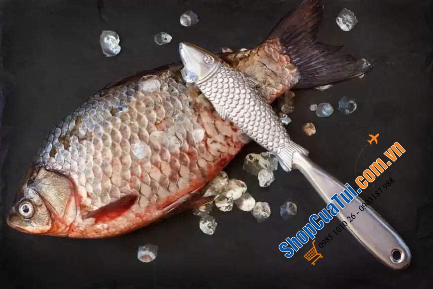 DỤNG CỤ ĐÁNH VẨY CÁ KITCHENCRAFT BẰNG NHÔM - giúp loại bỏ vảy nhanh hơn và dễ dàng hơn dùng dao