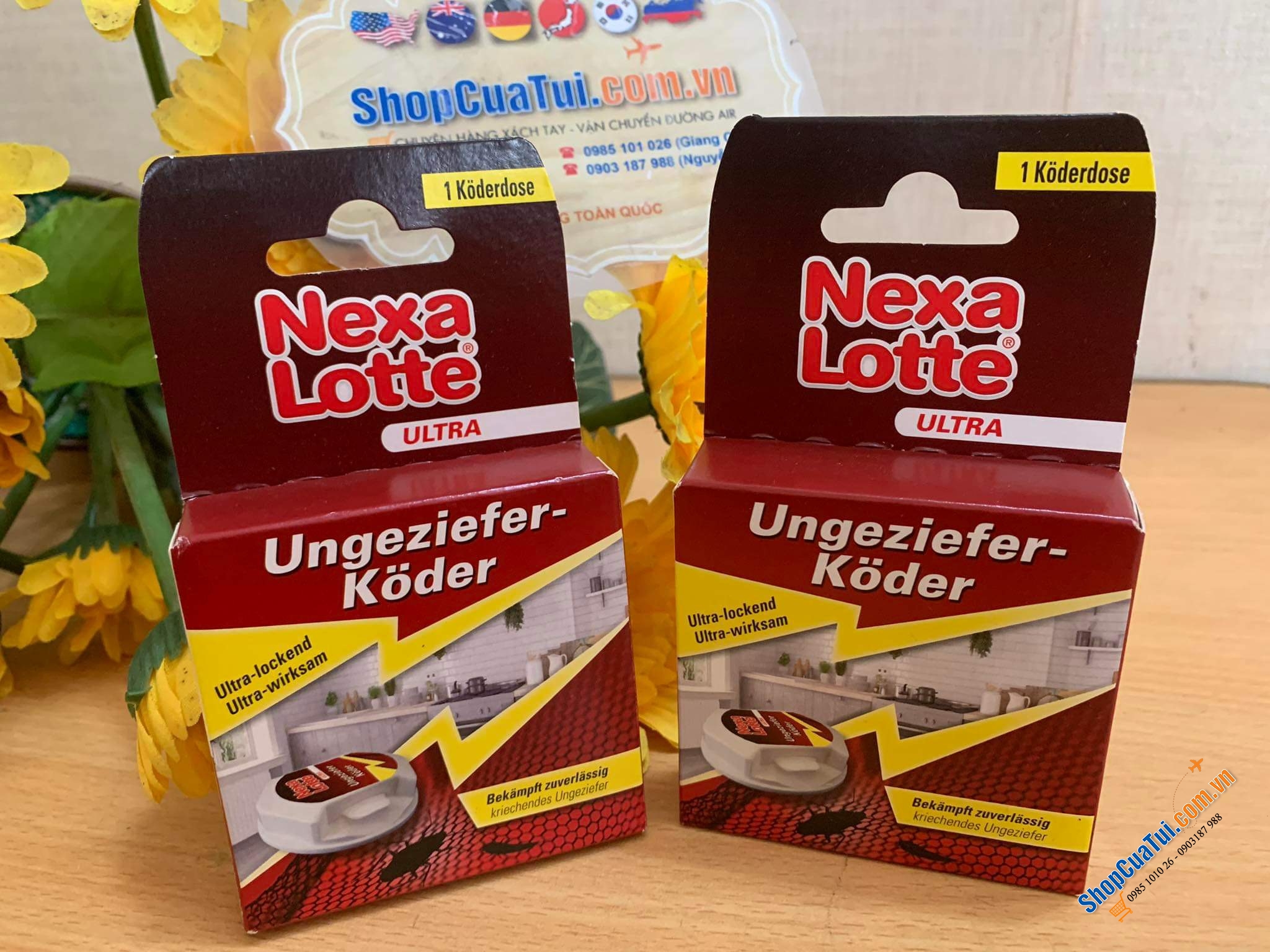 HỘP DIỆT GIÁN VÀ CÔN TRÙNG NEXA LOTTE.