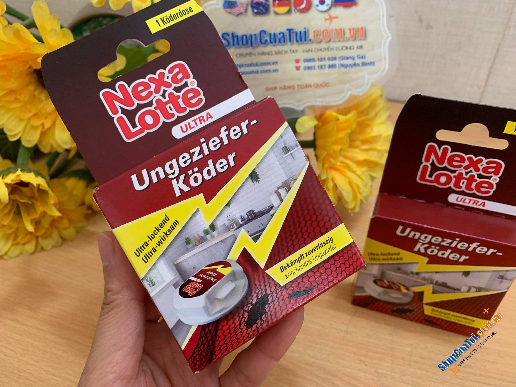HỘP DIỆT GIÁN VÀ CÔN TRÙNG NEXA LOTTE.