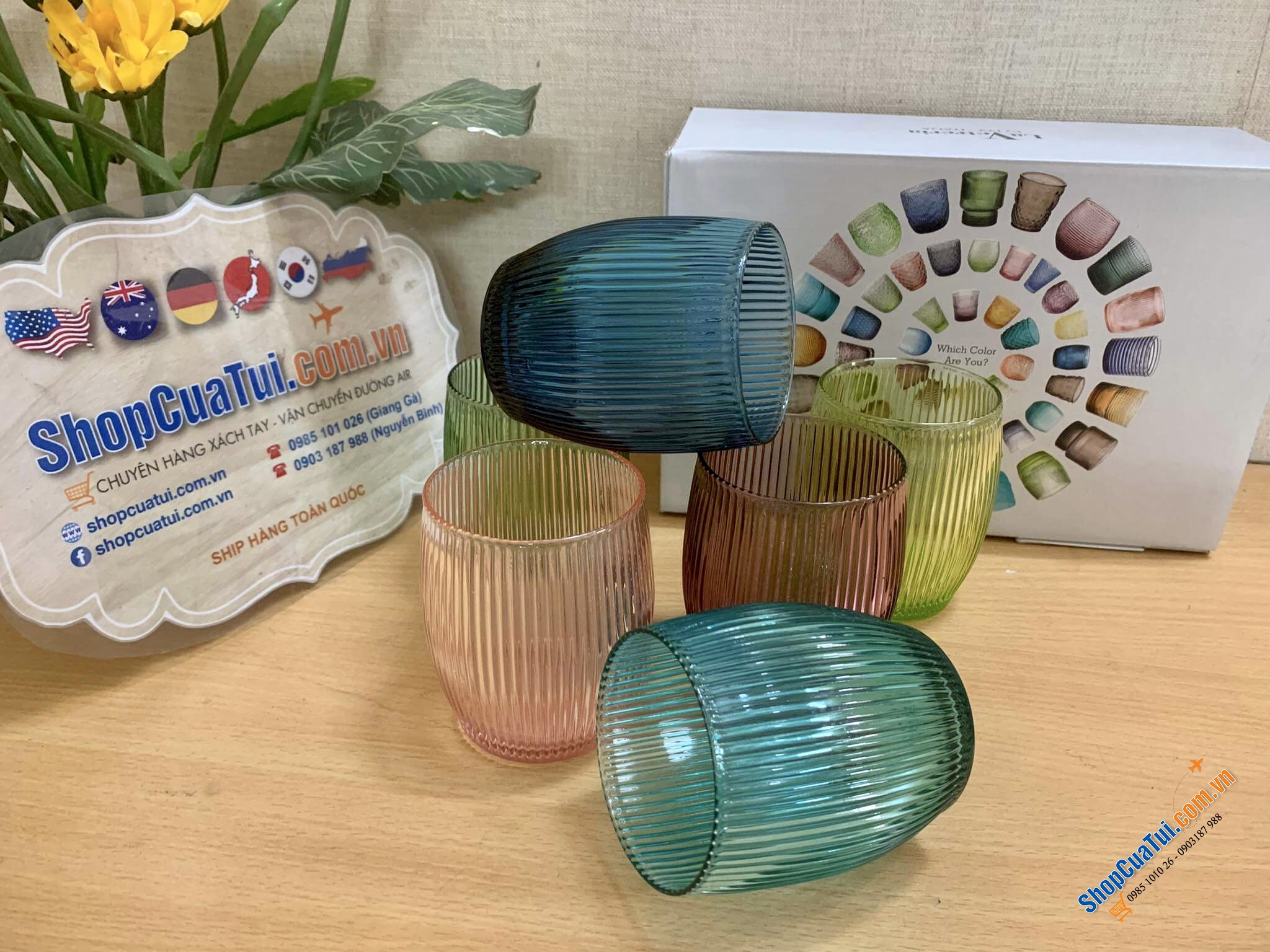 Bộ 6 cốc thuỷ tinh 300ml IVV GluGlu 8675.2