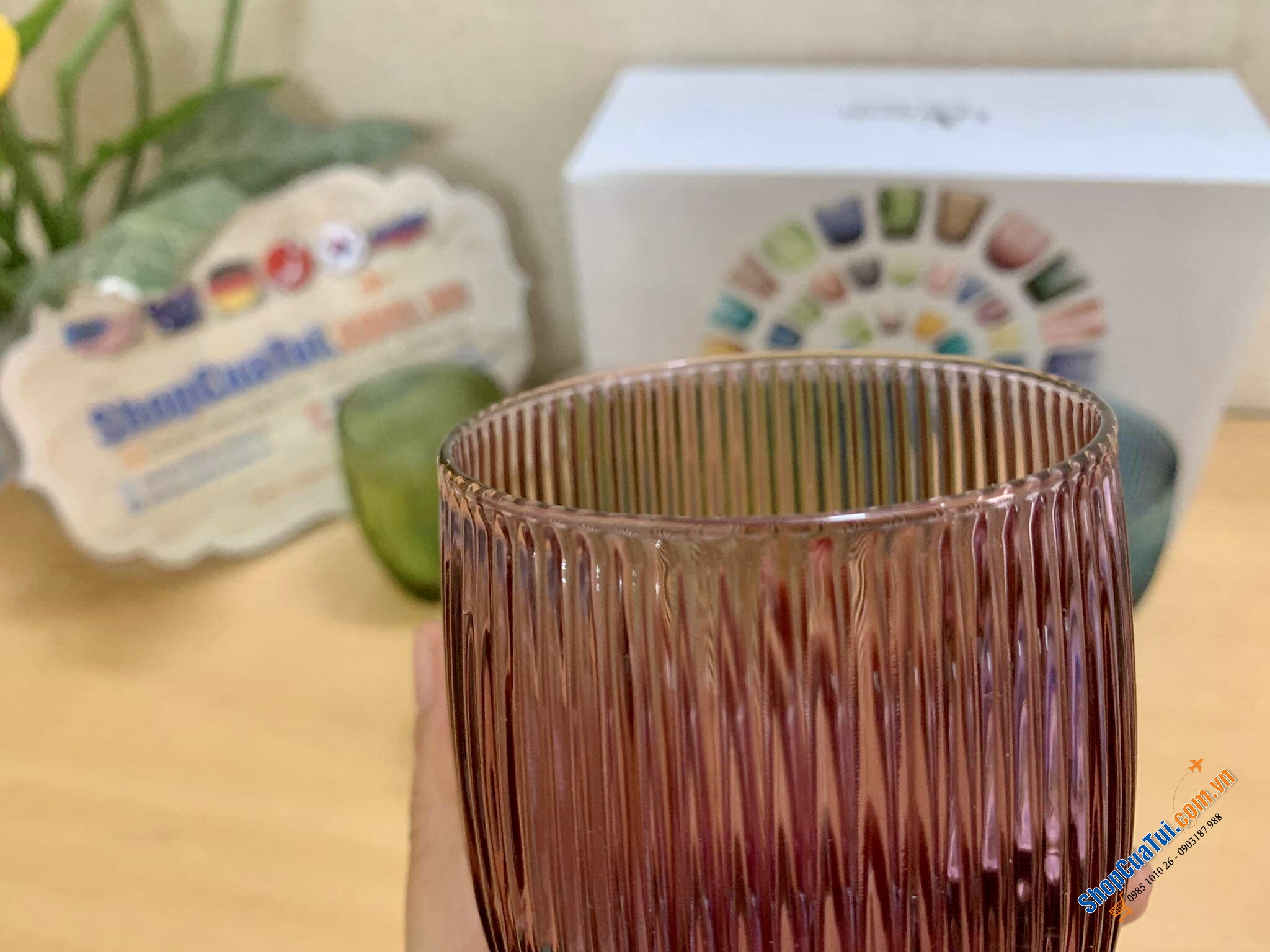 Bộ 6 cốc thuỷ tinh 300ml IVV GluGlu 8675.2