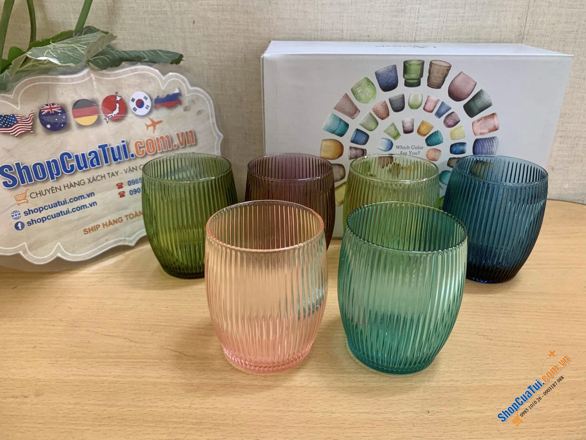 Bộ 6 cốc thuỷ tinh 300ml IVV GluGlu 8675.2