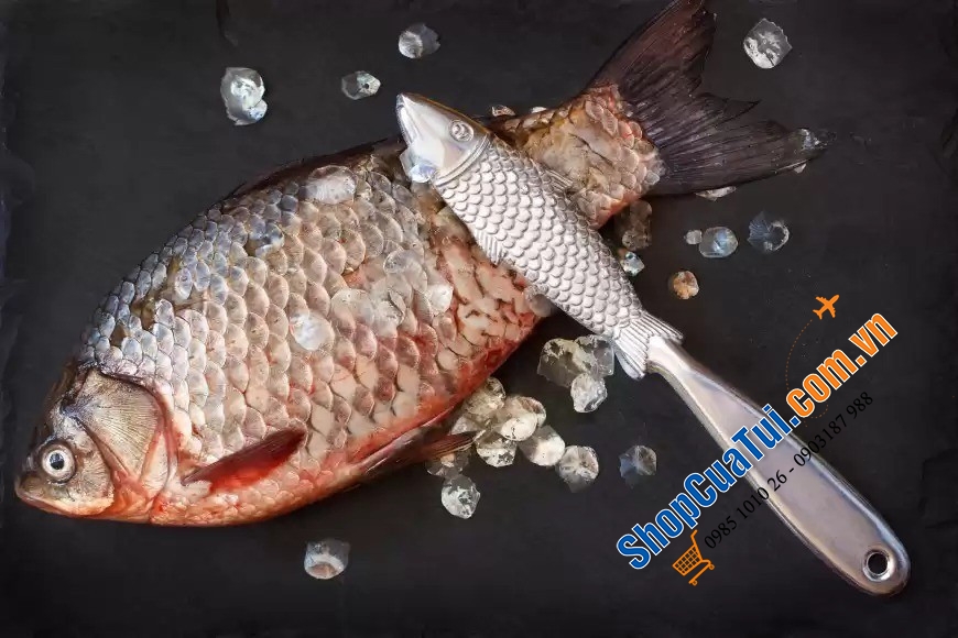 Dụng cụ đánh vảy cá Tala - giúp loại bỏ vảy nhanh hơn và dễ dàng hơn