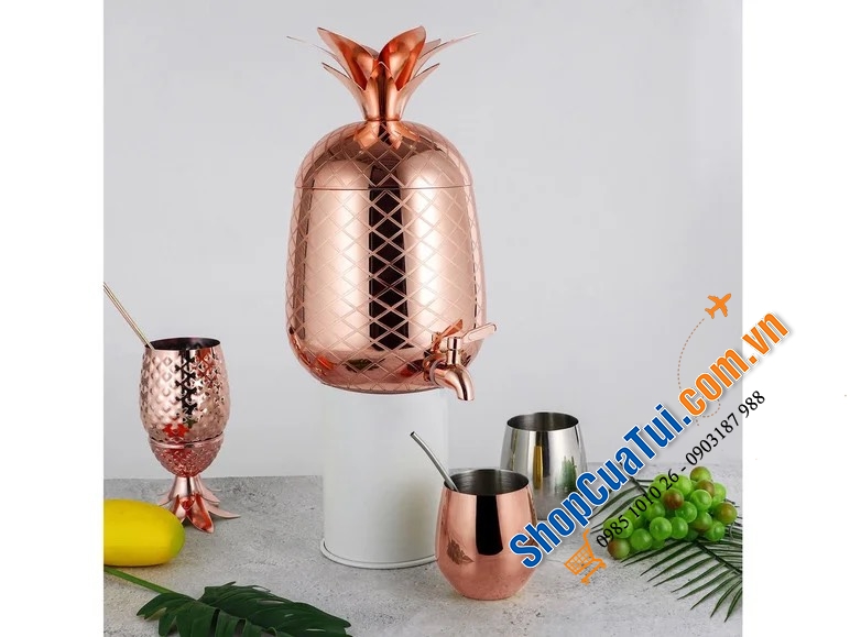 Bình đựng nước dứa ECHTWERK 4.7L