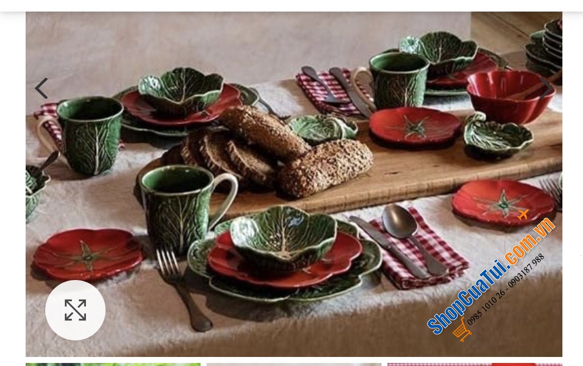 Set 4 đĩa cà chua BORDALLO 21cm bằng đất nung vẽ tay đầy sinh động