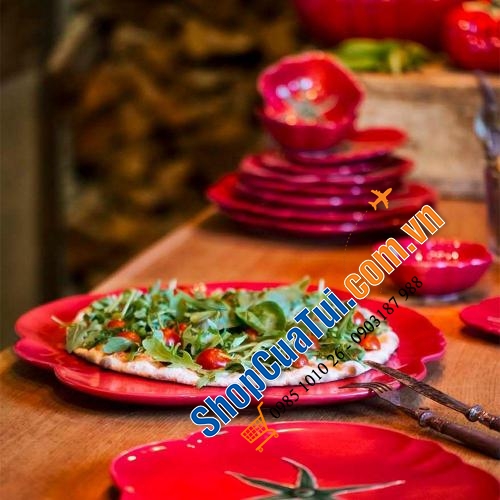 Set 4 đĩa cà chua BORDALLO 21cm bằng đất nung vẽ tay đầy sinh động