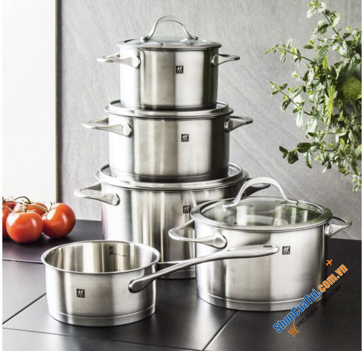 Bộ nồi Zwilling Essence 5 món vung kính: 4 nồi + 1 quánh