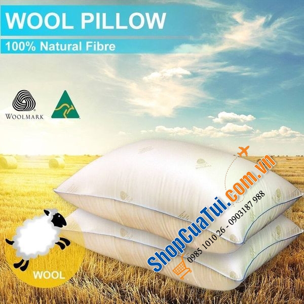 Gối lông cừu tự nhiên Woolcomfort - Made in Australia - mang đến một giấc ngủ đêm hoàn hảo ở mọi tư thế ngủ