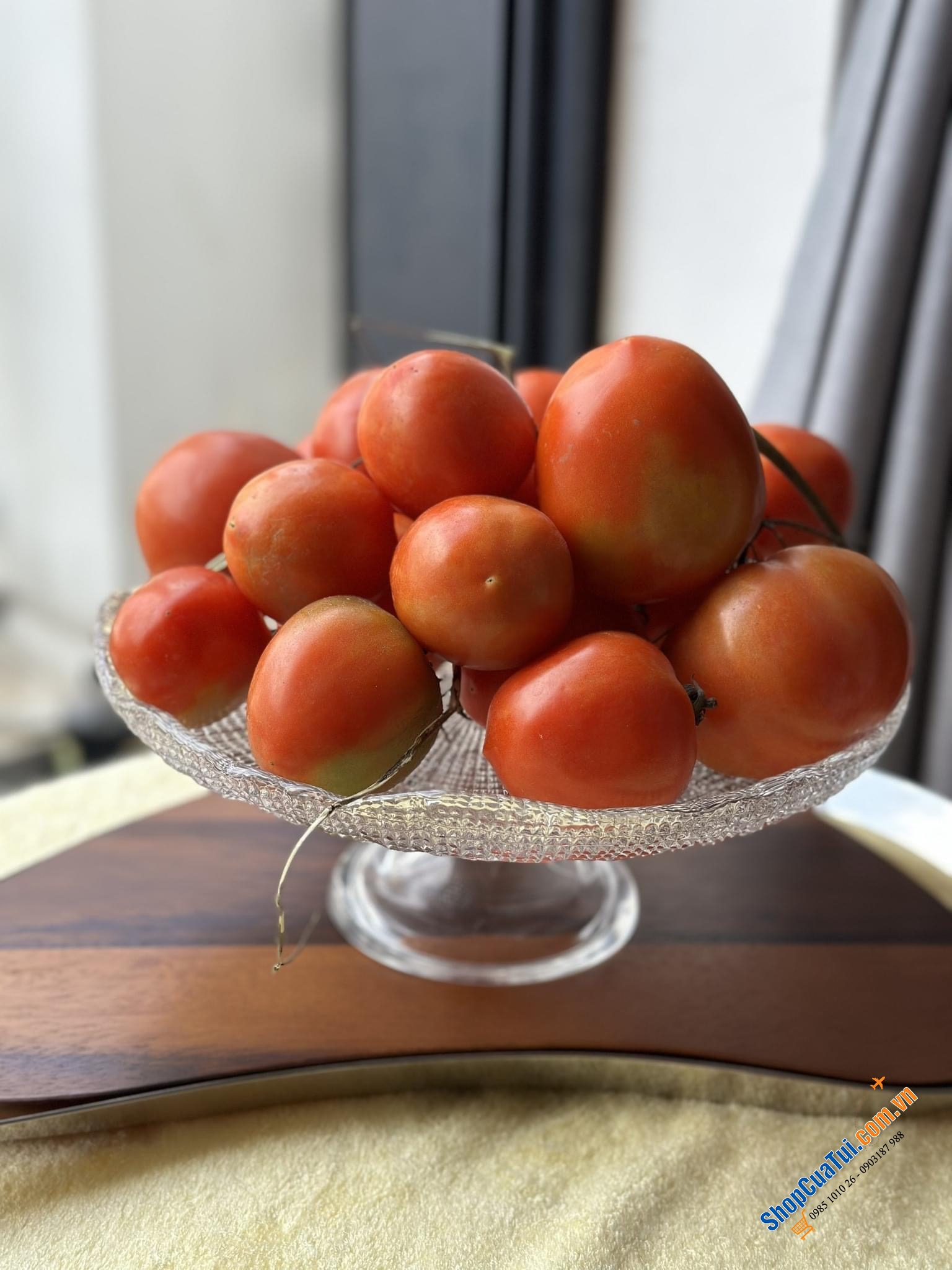 Chân bồng IVV Diamante size 32cm - sáng choang bày gì cũng đẹp