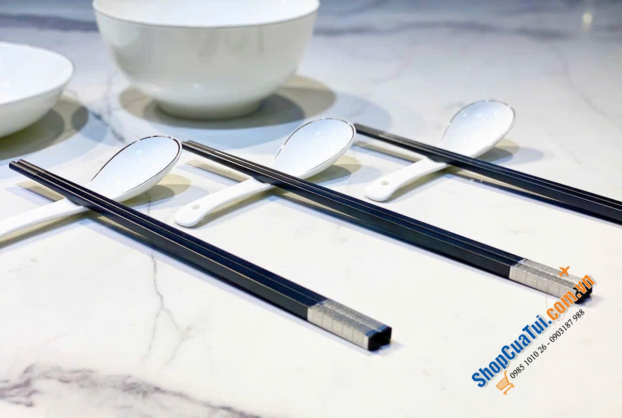 SET 10 ĐÔI ĐŨA SỢI THỦY TINH TITANIUM - SIÊU PHẨM NÂNG CẤP 2024 CỦA HÃNG ĐŨA NỔI TIẾNG ALLOY CHOPSTICK  - Dùng trong hệ thống các khách sạn, nhà hàng 5 sao