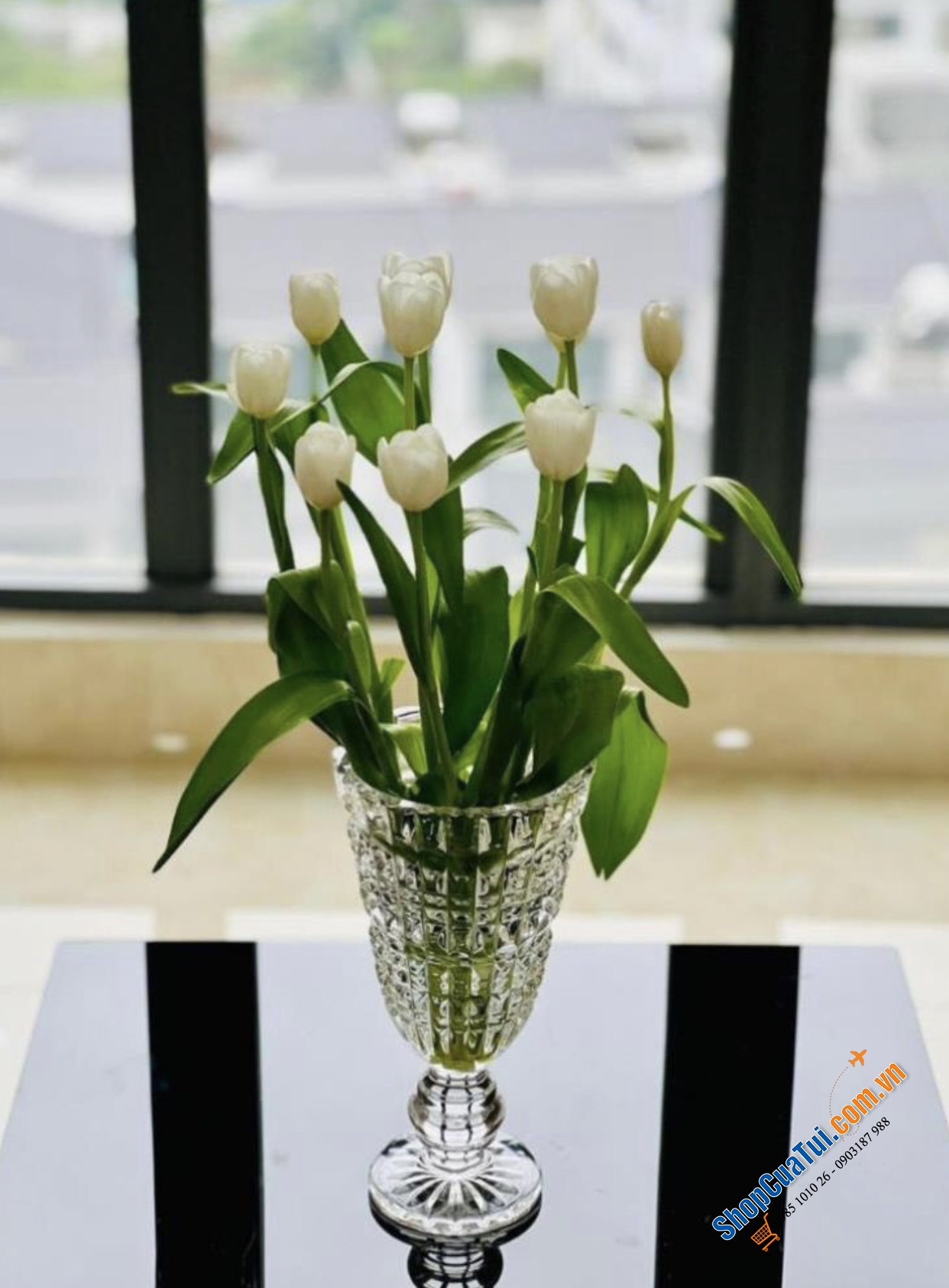 Lọ hoa cúp Glass Vase size 24.5cm hoặc 30cm