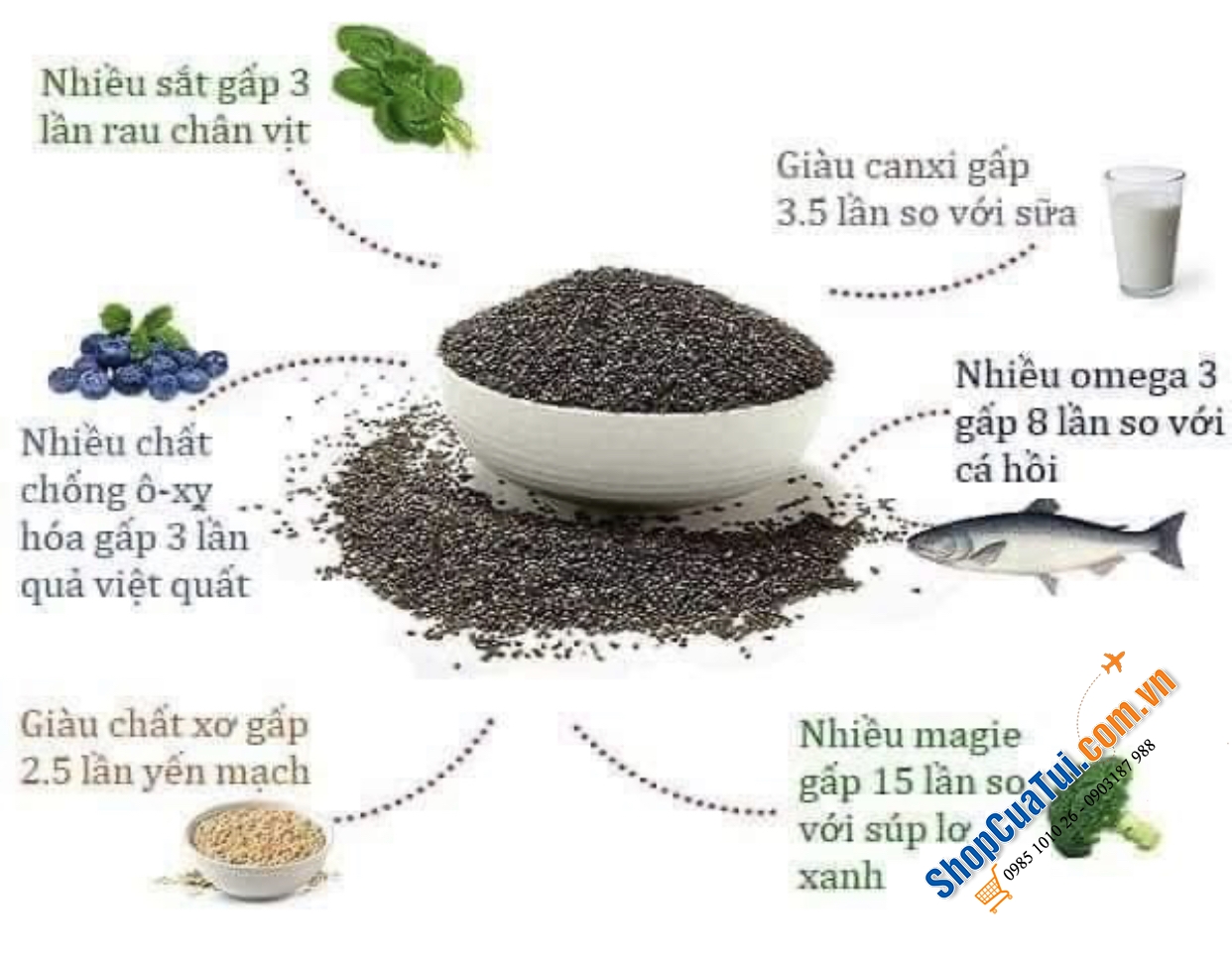 HỘP HẠT CHIA ĐEN HỮU CƠ CERTIFIED ORGANIC BLACK CHIA SEED 1.6kg