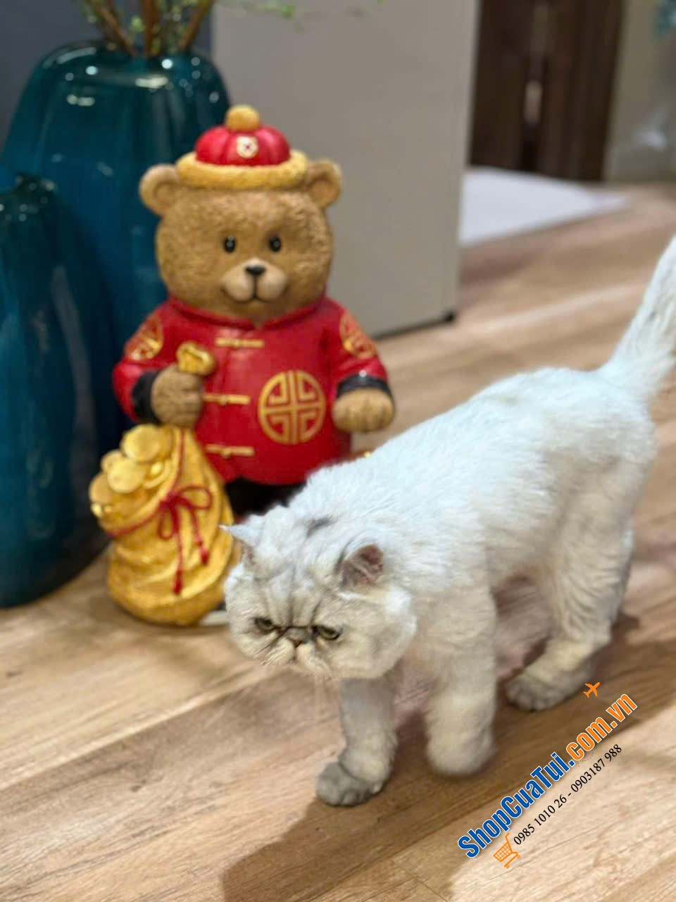 Rực rỡ với Gấu Tết Lunar new year bear từ siêu thị Costco 31,5 x 23,6 x 48cm