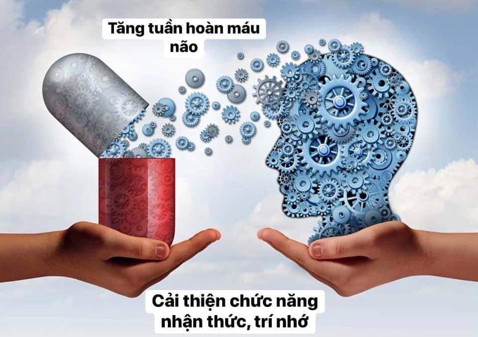 Viên tuần hoàn não Ginkgo Biloba Healthy Care Úc 2000mg lọ 100 viên