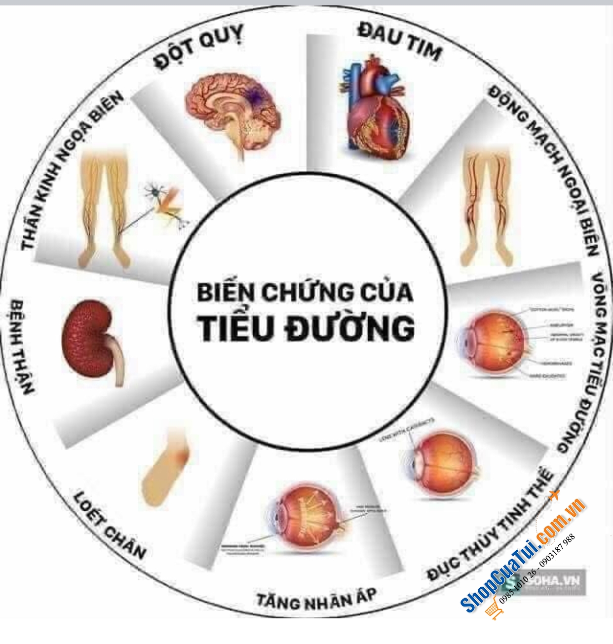 Viên Quế hỗ trợ ổn định đường huyết Zimt Kapseln mit Chrom und Zink Sanct Bernhard lọ 180 viên -  MADE IN GERMANY- dành cho bệnh nhân tiểu đường