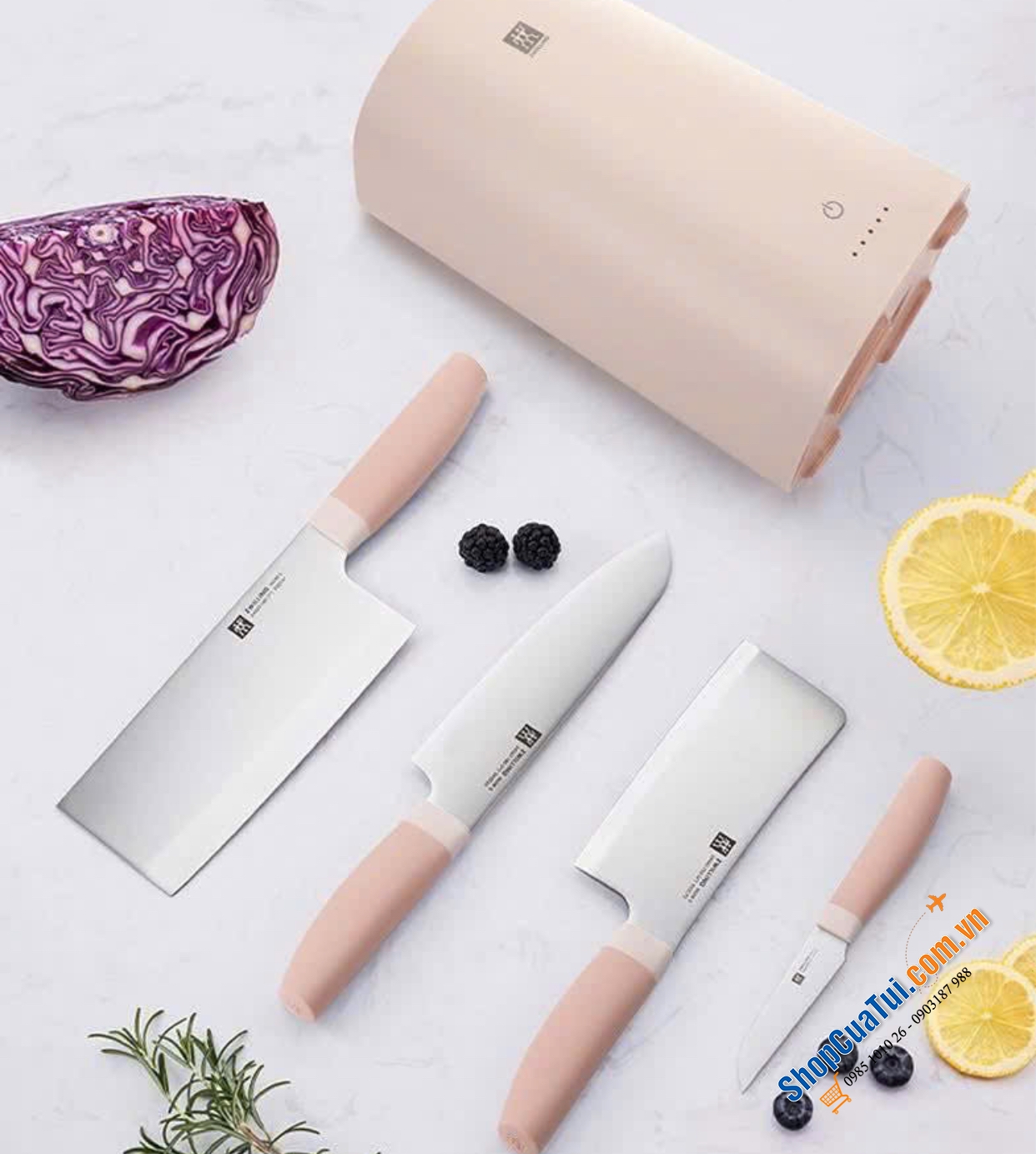 Bộ 4 dao kèm hộp tiệt trùng Zwilling - MÀU HỒNG