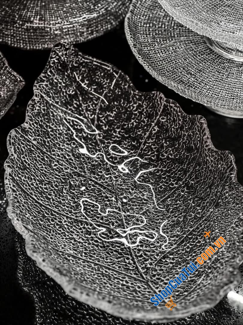 Đĩa lá IVV Madagascar 42 x 28cm màu TRẮNG